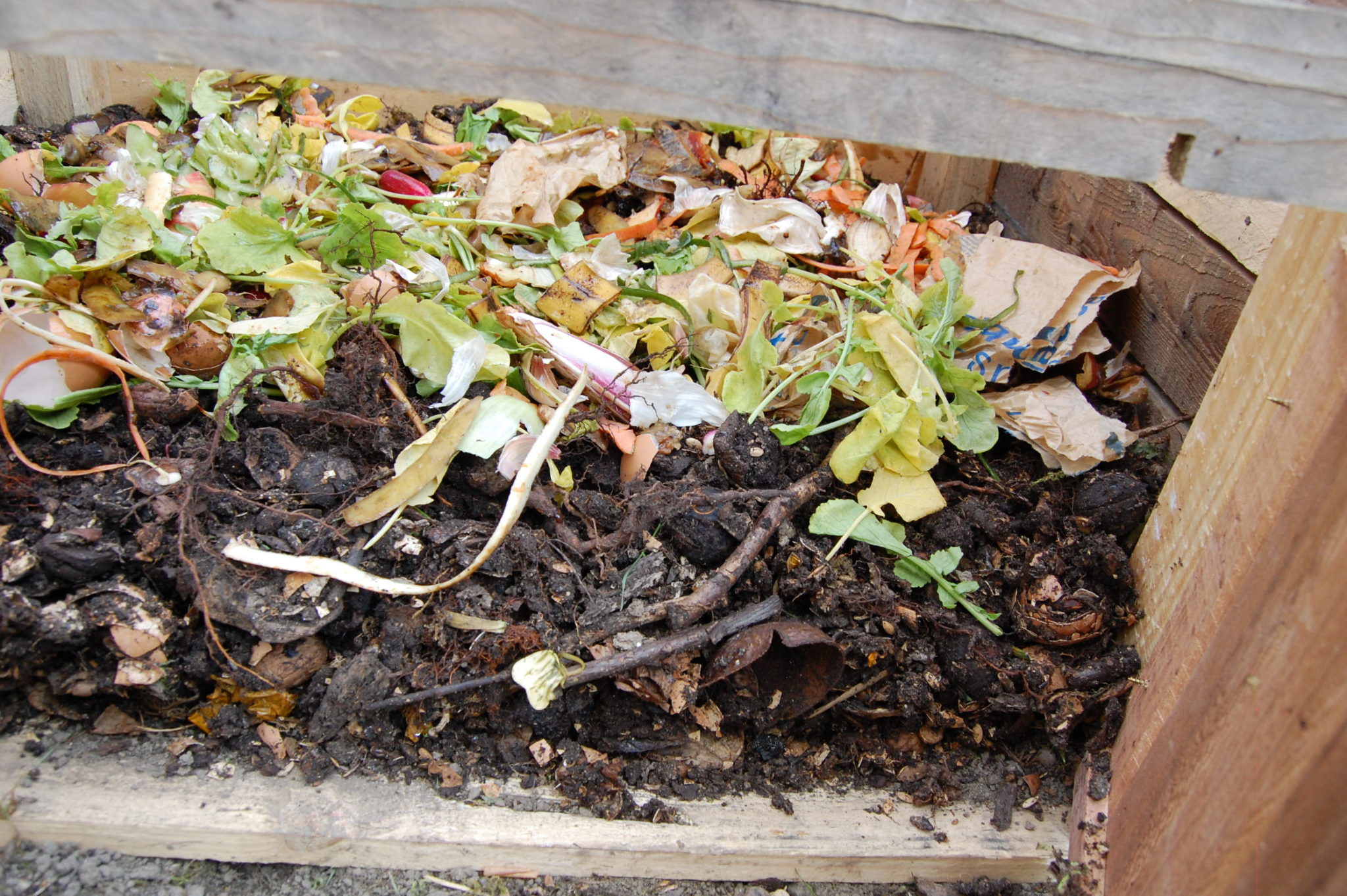 Faire son compost, c'est facile! Les Ateliers de la Petite Noisette